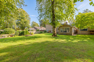 Garden- click for photo gallery